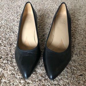 Naturalized Pointed Toe Kitten Heel